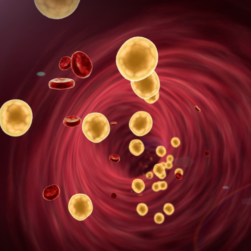 I have high cholesterol, but I don't want to take statins: could Cardiol be the right product?