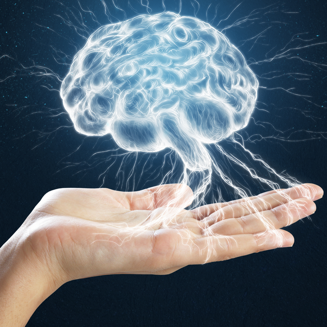 Low omega-3 levels impair cognitive abilities